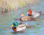 You Lucky Duck Oil Painting