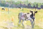 Calf in a Pasture Watercolor