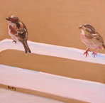 Sparrows Series Gallery