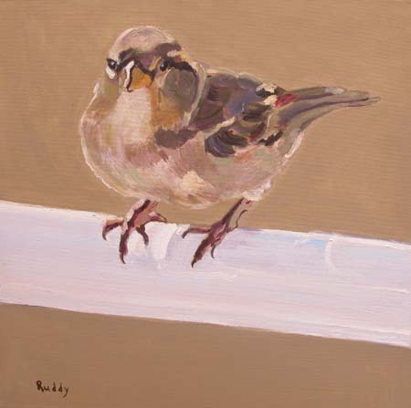Sparrows #3 Oil on Canvas