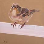 Sparrows #3