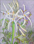 White Spider Lilies Painting